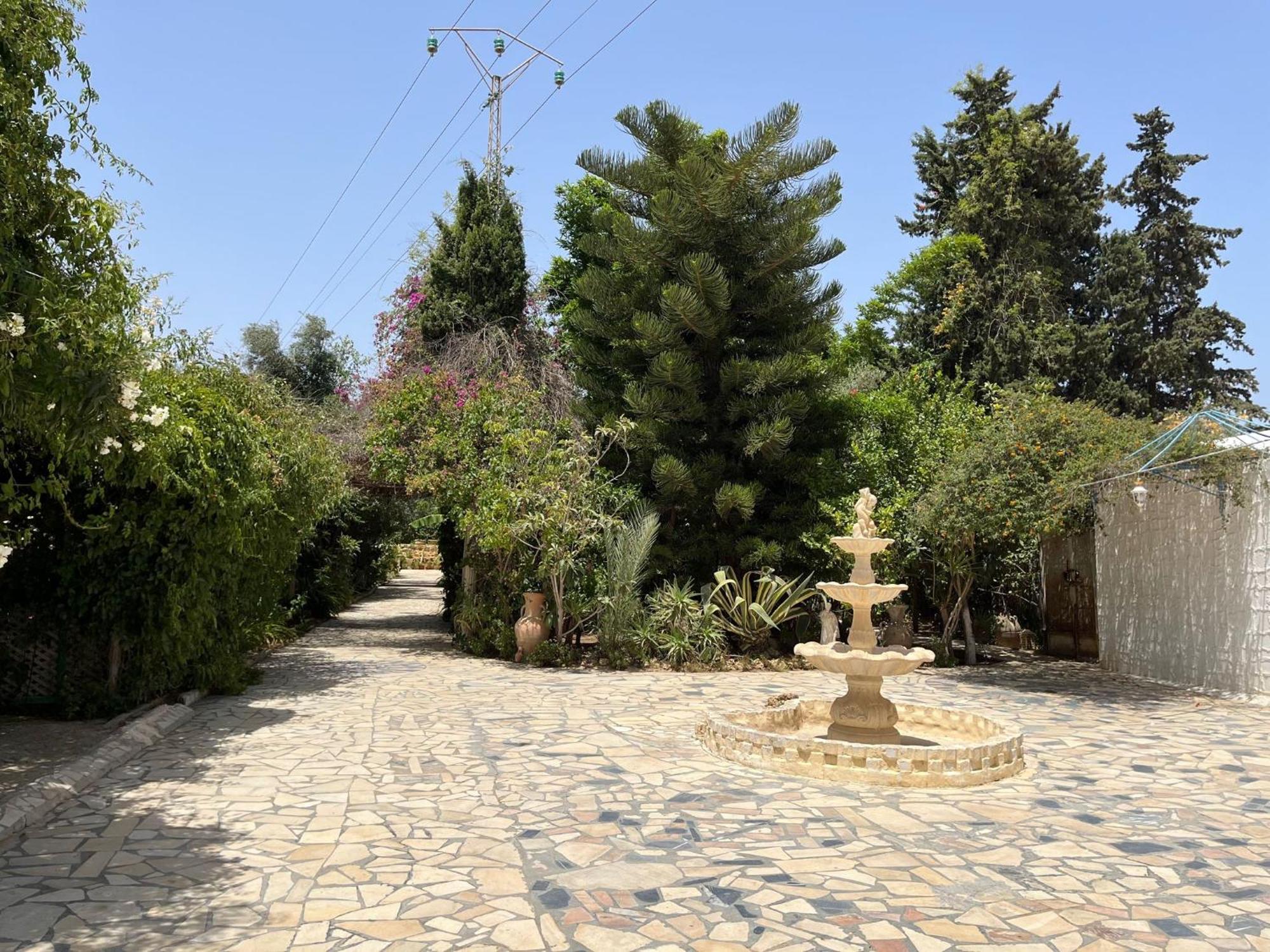 Dar Beldi Hotel Hammamet Exterior photo